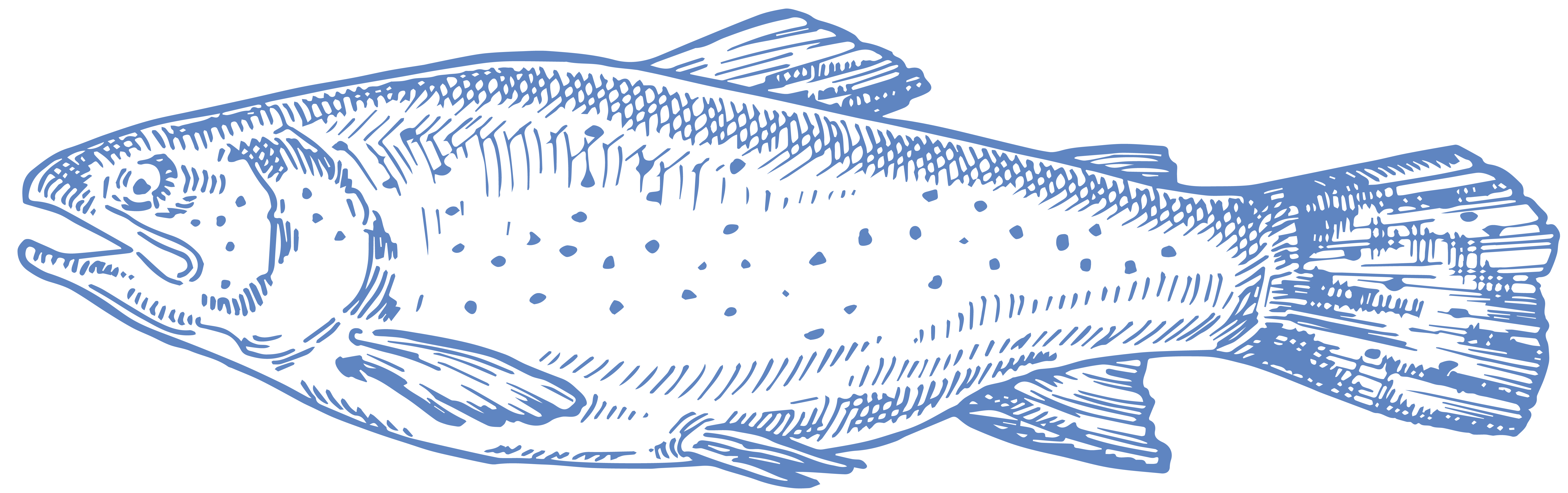 Salmon Category Icon