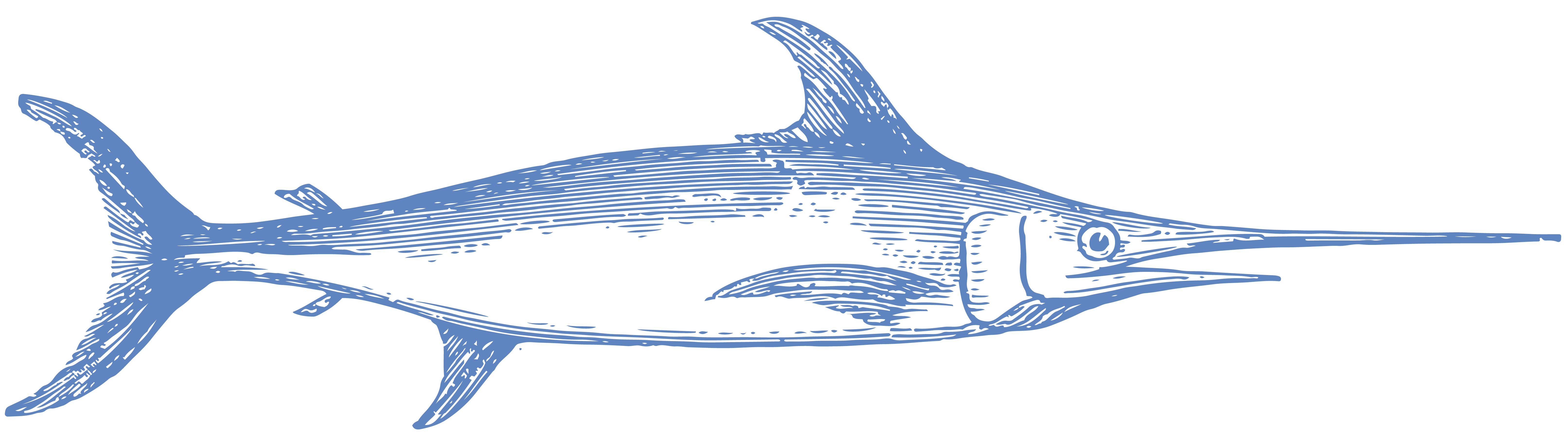 Swordfish Category Icon