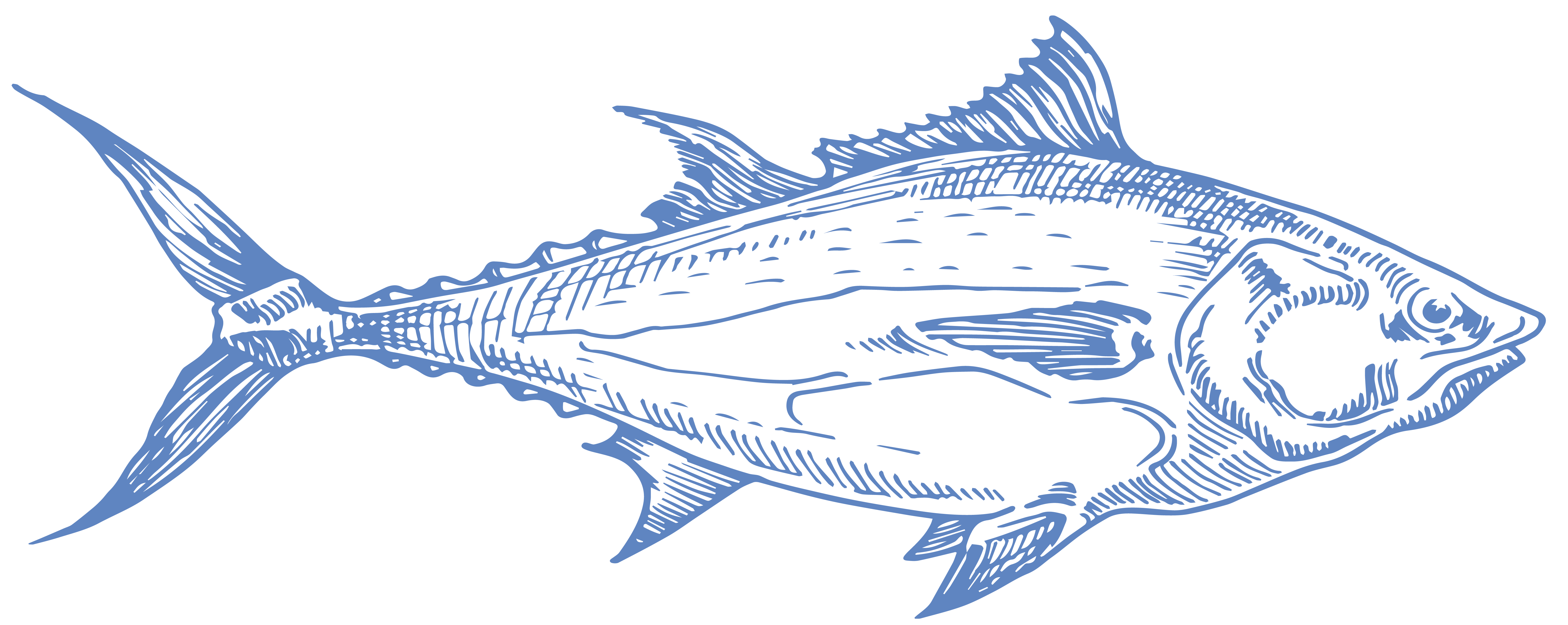 Tuna Category Icon