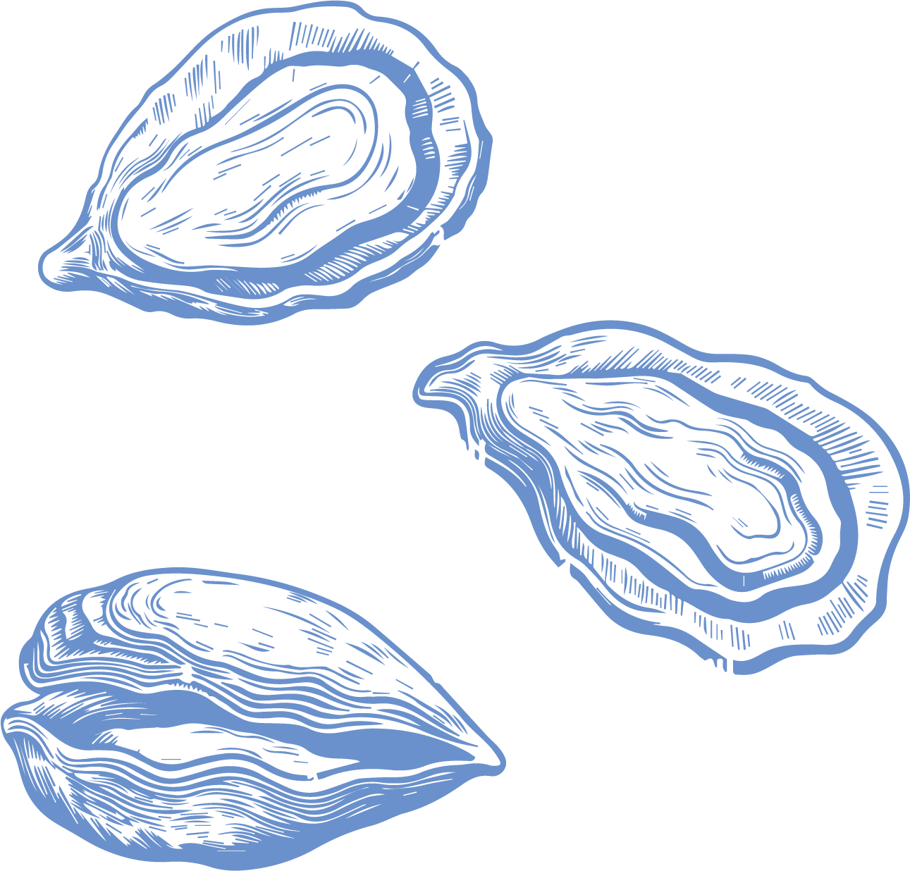 Oysters Category Icon